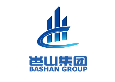 岜山集團品牌形象LOGO/VI設計
