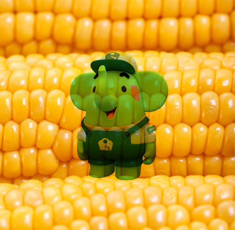 美團買菜品牌吉祥物小綠象應(yīng)用效果_高瑞品牌 美團買菜品牌吉祥物小綠象應(yīng)用效果_高瑞品牌